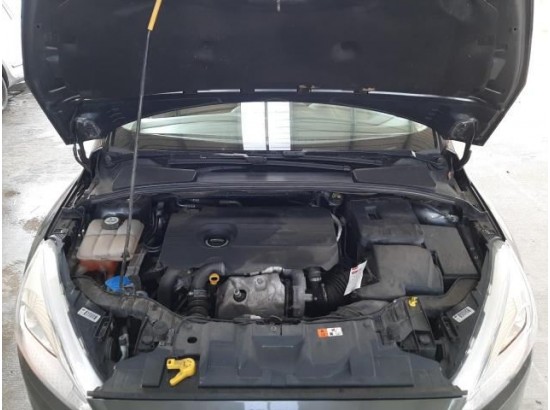 2015 Ford Focus Turnier Business 2015 Ford Focus Turnier Business