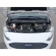 2019 Ford Transit Connect Kasten Lang Trend 2019 Ford Transit Connect Kasten Lang Trend