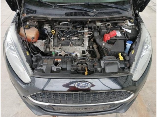 2016 Ford Fiesta Celebration 2016 Ford Fiesta Celebration