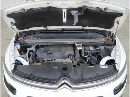 2019 Citroen Grand C4 Picasso/Spacetourer Shine 2019 Citroen Grand C4 Picasso/Spacetourer Shine