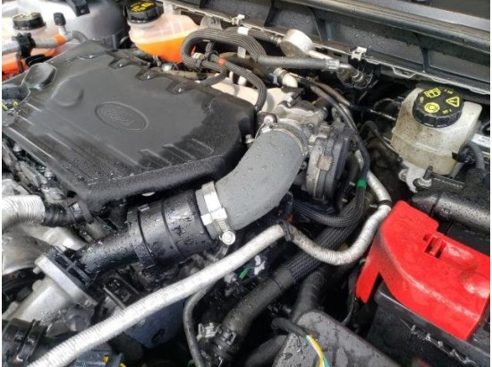 2021 Ford Focus Turnier Cool & Connect 2021 Ford Focus Turnier Cool & Connect
