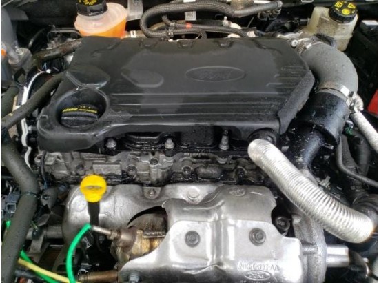 2021 Ford Focus Turnier Cool & Connect 2021 Ford Focus Turnier Cool & Connect
