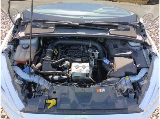 2015 Ford Focus Turnier Trend 2015 Ford Focus Turnier Trend