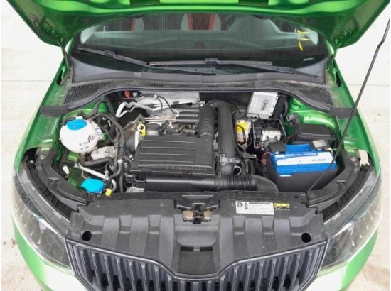 2017 Skoda Fabia Monte Carlo 2017 Skoda Fabia Monte Carlo