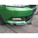 2017 Skoda Fabia Monte Carlo 2017 Skoda Fabia Monte Carlo