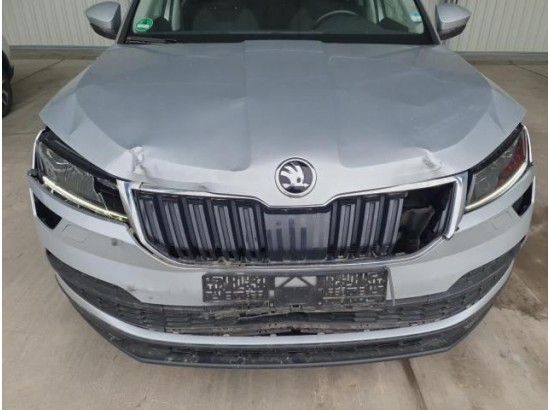 2019 Skoda Karoq Style 2019 Skoda Karoq Style