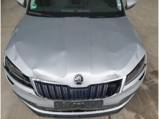 2019 Skoda Karoq Style 2019 Skoda Karoq Style