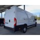 2024 Citroen Jumper Grossraumkasten 35 L4H2 Control Heavy BlueHDi 165 Start&Stop 2024 Citroen Jumper Grossraumkasten 35 L4H2 Control Heavy BlueHDi 165 Start&Stop