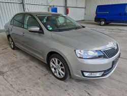 2016 Skoda Rapid Joy