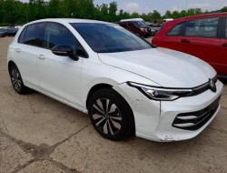 2025 Volkswagen Golf VIII Lim. 2.0 TDI 110 kW Goal