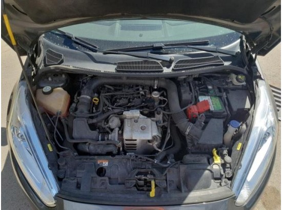 2016 Ford Fiesta Celebration 2016 Ford Fiesta Celebration