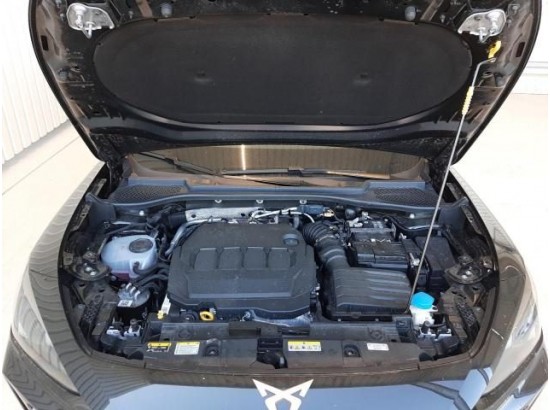 2025 Cupra Formentor 2.0 TDI 110 kW 2025 Cupra Formentor 2.0 TDI 110 kW