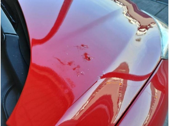 2015 Ford Focus Lim. Trend 2015 Ford Focus Lim. Trend