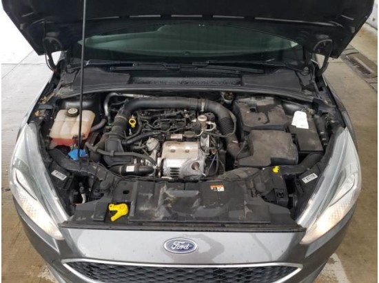 2016 Ford Focus Turnier Trend 2016 Ford Focus Turnier Trend