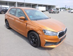 2022 Skoda Fabia Active