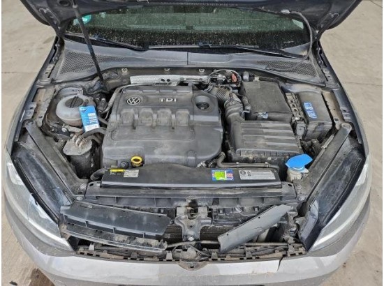 2016 Volkswagen Golf VII Lim. Highline BMT