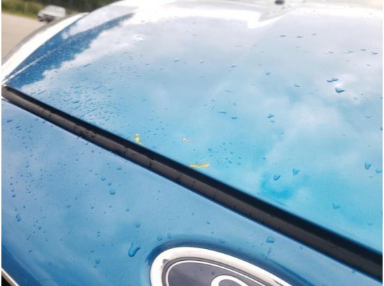 2016 Ford Fiesta Trend 2016 Ford Fiesta Trend
