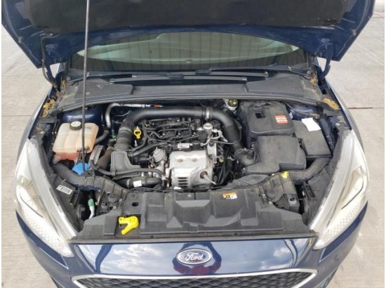 2016 Ford Focus Turnier Business 2016 Ford Focus Turnier Business