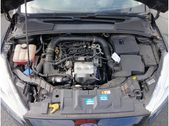 2015 Ford Focus Turnier Business