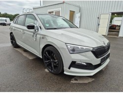 2021 Skoda Scala Edition S