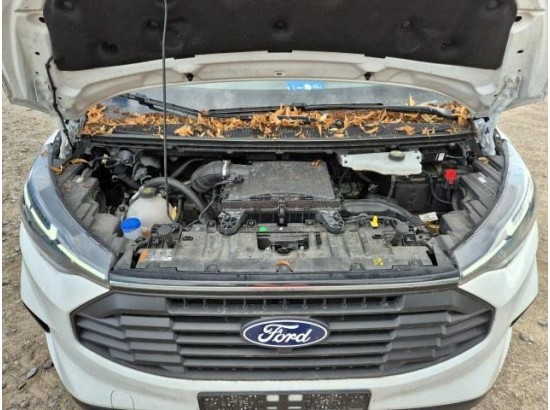 2024 Ford Transit Custom Kasten 320 L1 Trend AWD