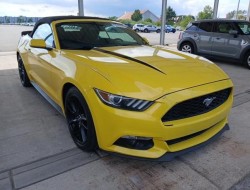 2015 Ford Mustang Basis Convertible