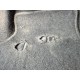 2023 Opel Corsa F GS 2023 Opel Corsa F GS