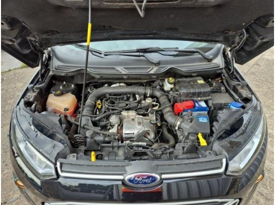 2016 Ford EcoSport Trend