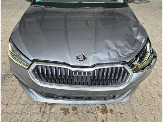 2023 Skoda Fabia Style 2023 Skoda Fabia Style