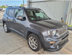 2019 Jeep Renegade Limited FWD