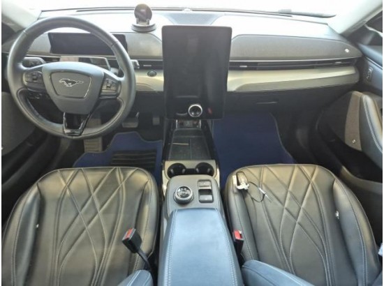 2021 Ford Mustang Mach-E Basis 2021 Ford Mustang Mach-E Basis