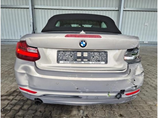 2015 BMW 2er Cabrio 220 i Sport Line 2015 BMW 2er Cabrio 220 i Sport Line