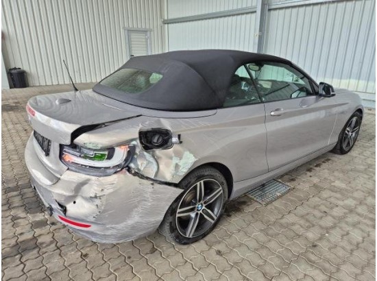 2015 BMW 2er Cabrio 220 i Sport Line 2015 BMW 2er Cabrio 220 i Sport Line