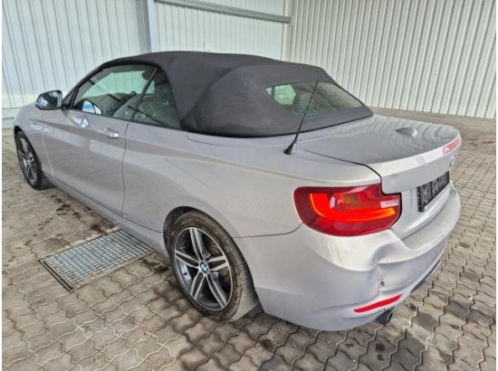 2015 BMW 2er Cabrio 220 i Sport Line 2015 BMW 2er Cabrio 220 i Sport Line