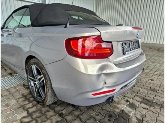 2015 BMW 2er Cabrio 220 i Sport Line 2015 BMW 2er Cabrio 220 i Sport Line