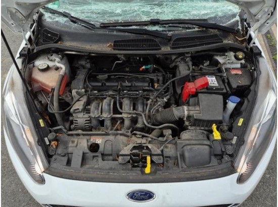 2016 Ford Fiesta Ambiente