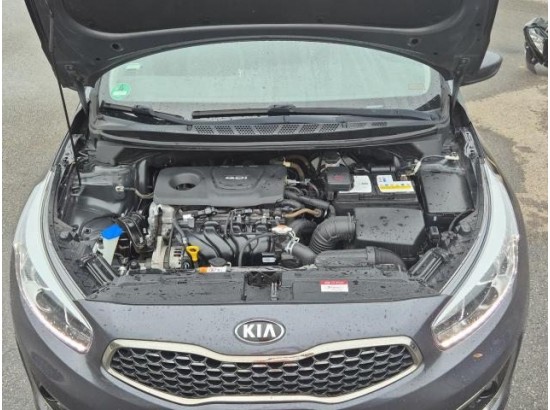 2018 Kia Ceed Dream Team 2018 Kia Ceed Dream Team