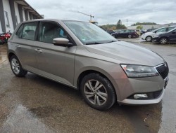 2019 Skoda Fabia Ambition