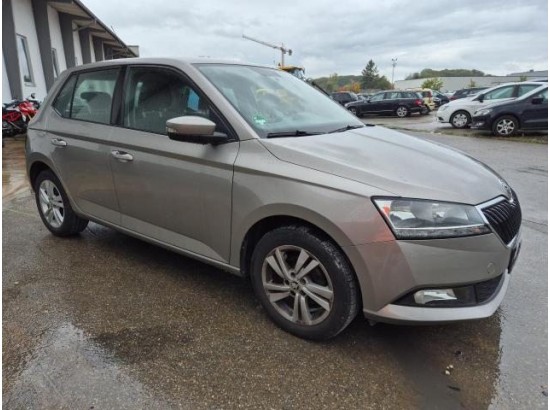 2019 Skoda Fabia Ambition
