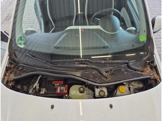 2022 Renault Twingo Intens Electric 2022 Renault Twingo Intens Electric