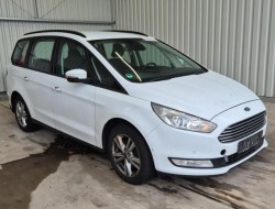 2019 Ford Galaxy Business