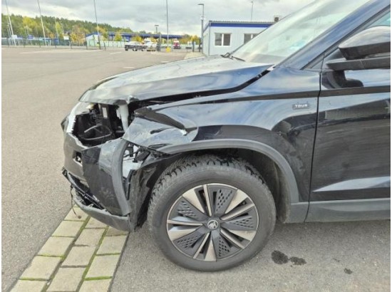 2025 Skoda Karoq Selection