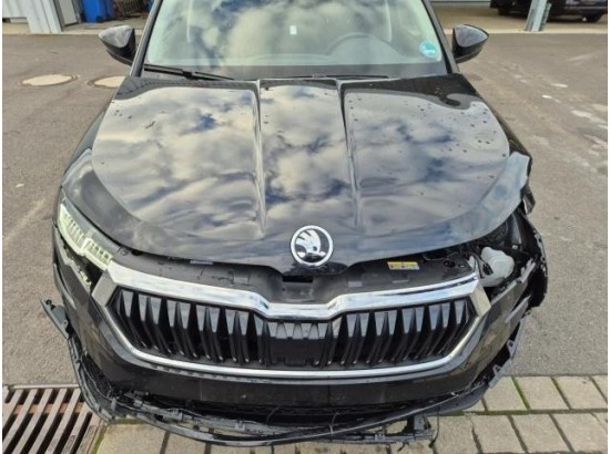 2025 Skoda Karoq Selection