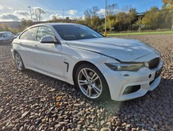 2018 BMW 4er Gran Coupe 420 d M Sport