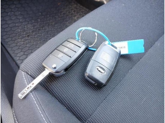 2017 Kia Rio Dream Team