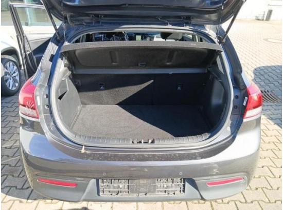 2017 Kia Rio Dream Team