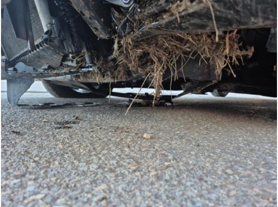 2025 Volkswagen Polo VI Goal