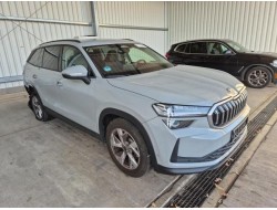 2024 Skoda Kodiaq 2.0 TDI 110 kW Selection