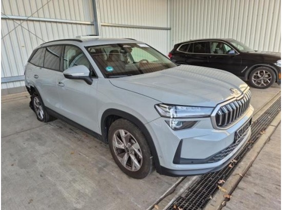 2024 Skoda Kodiaq 2.0 TDI 110 kW Selection