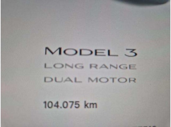 2021 Tesla Model 3 Model 3 Allradantrieb Dual Motor Performan